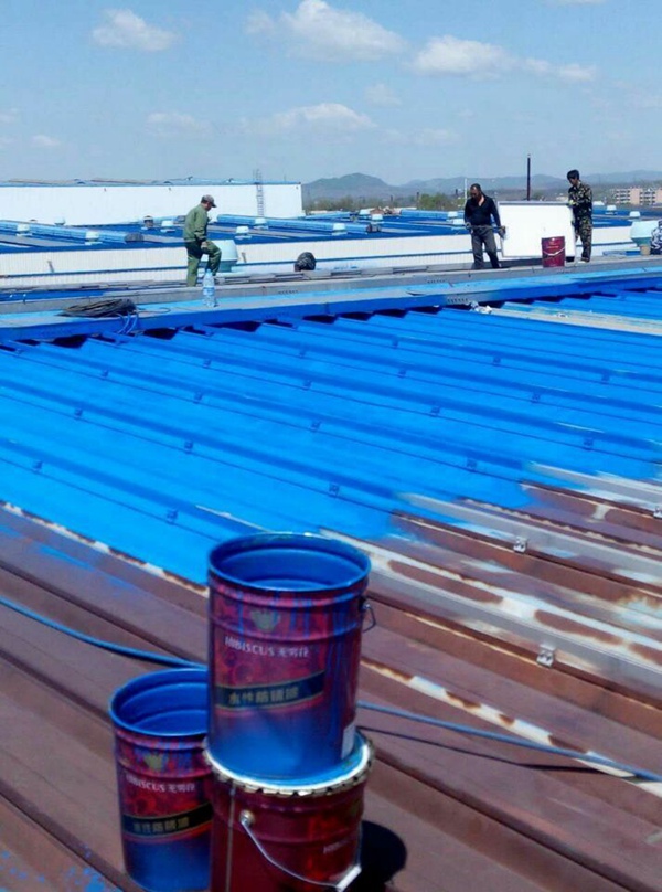 水性彩钢瓦漆：琦琦传说的原创设计纪实